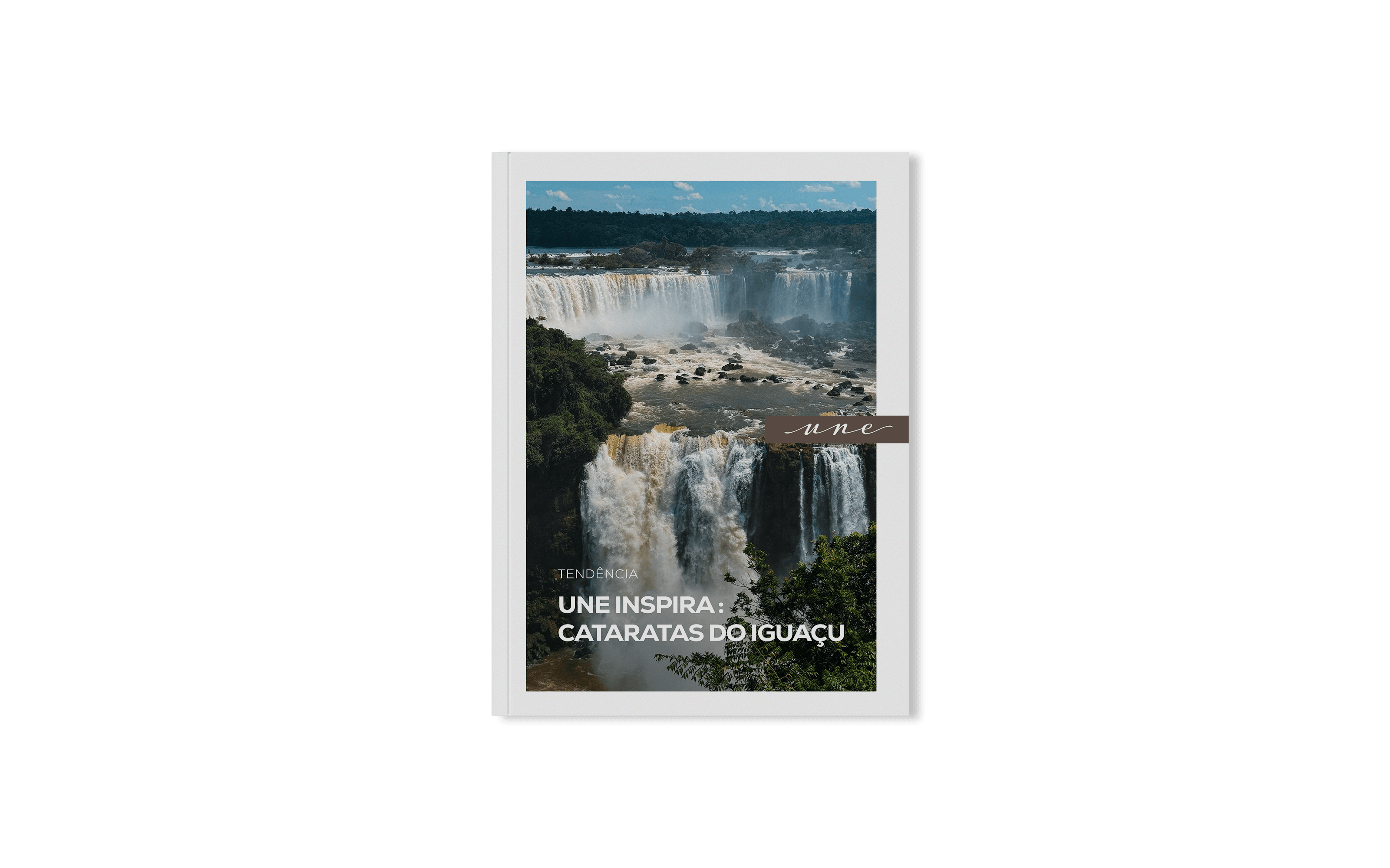 Vista panorâmica das Cataratas do Iguaçu entre a mata